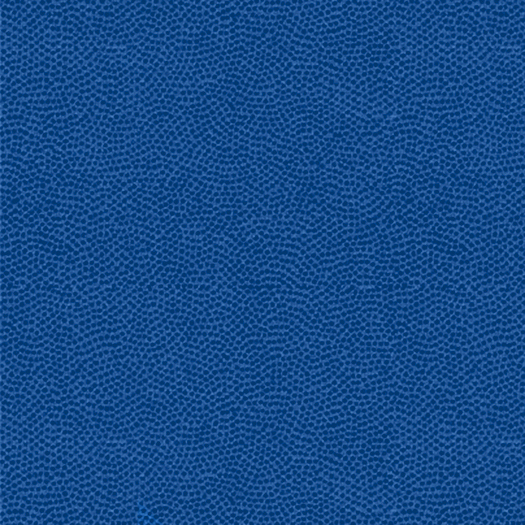Myst - Pacific Blue/Royal